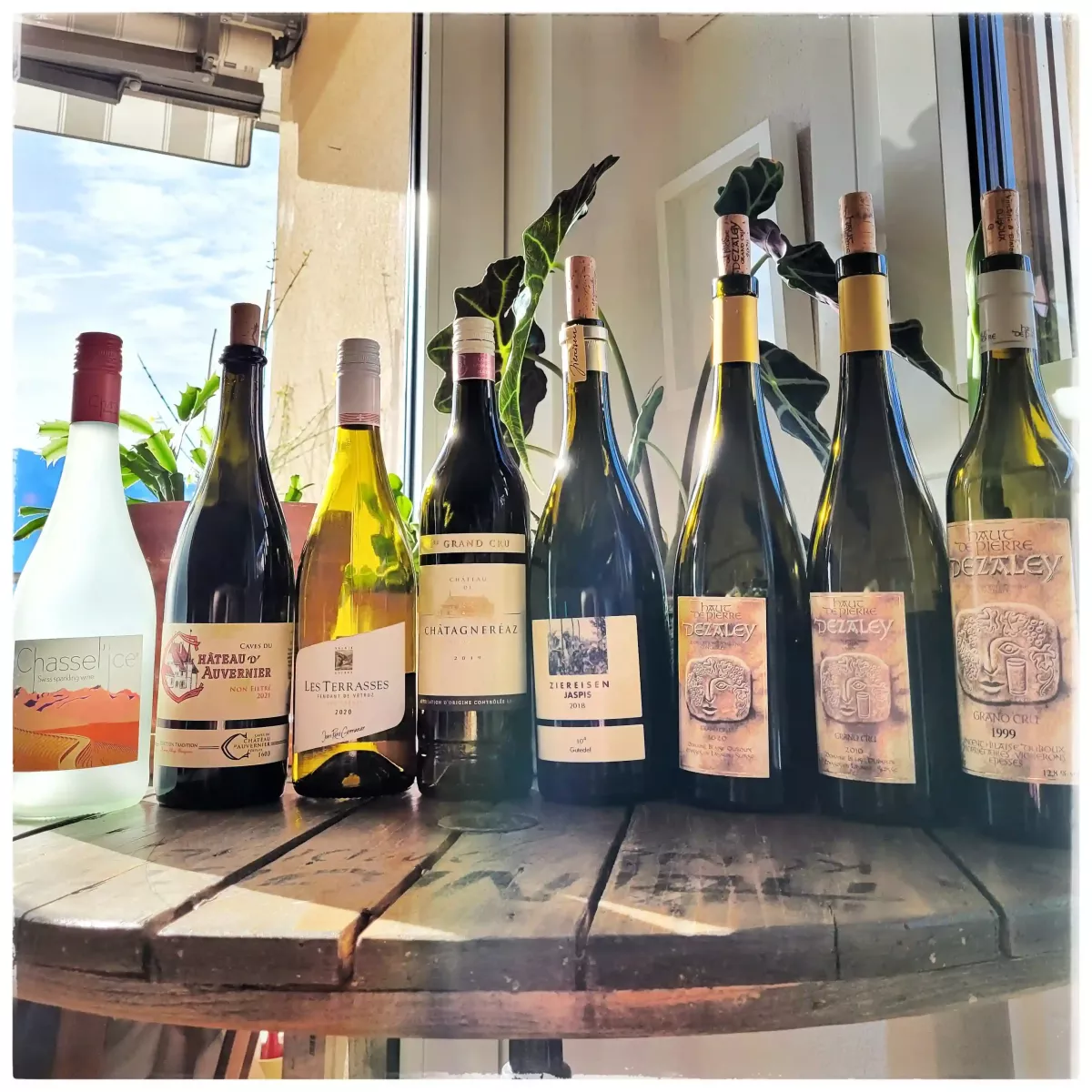 Chasselasterclass©️