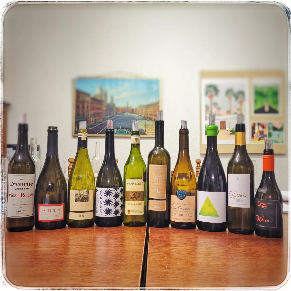 Les multiples facettes du Chasselas